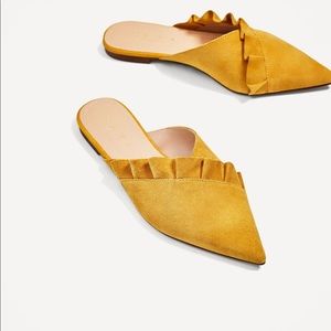 Zara Ruffle Pointed Flats